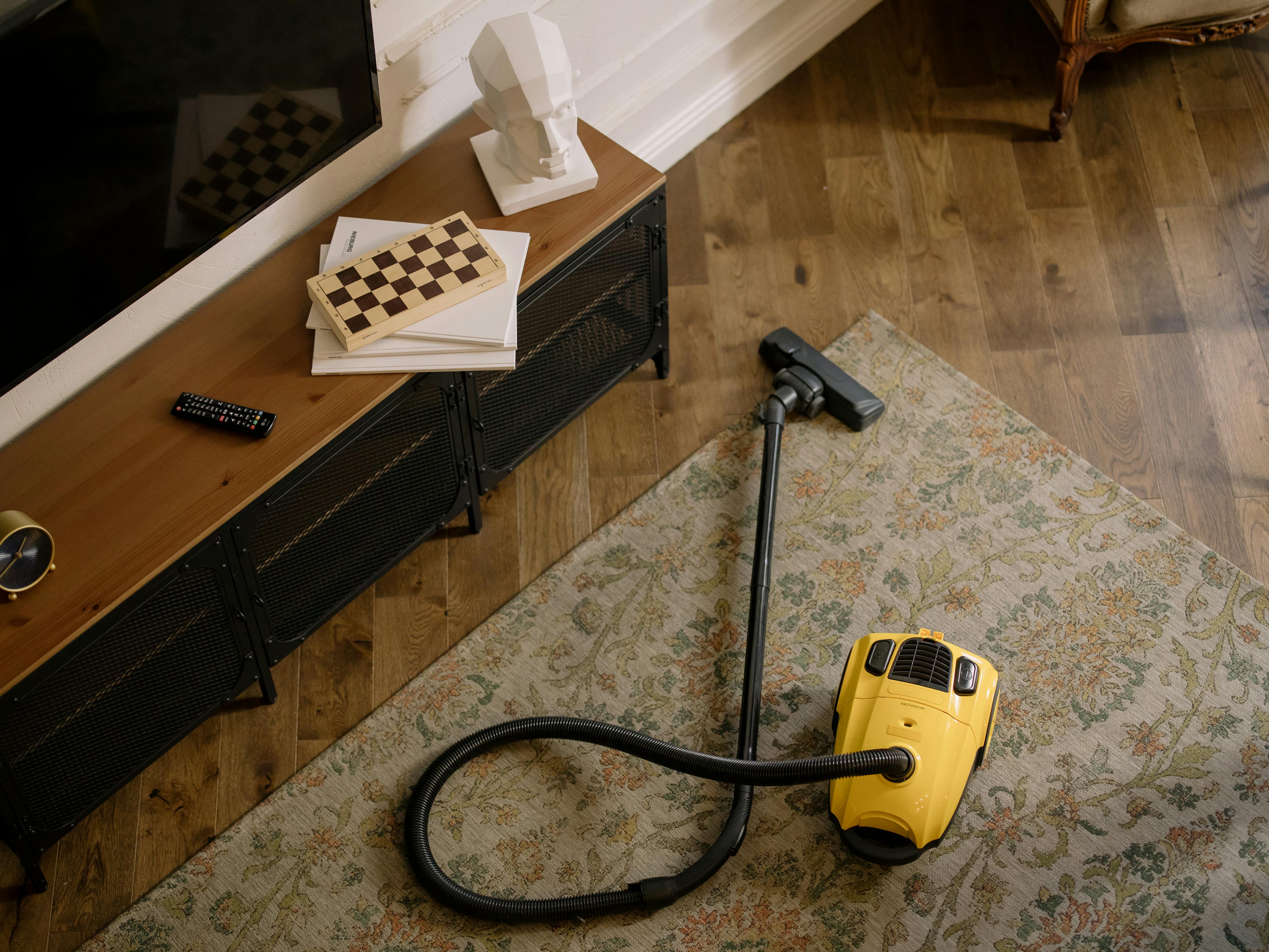 Professional Carpet Cleaning Service